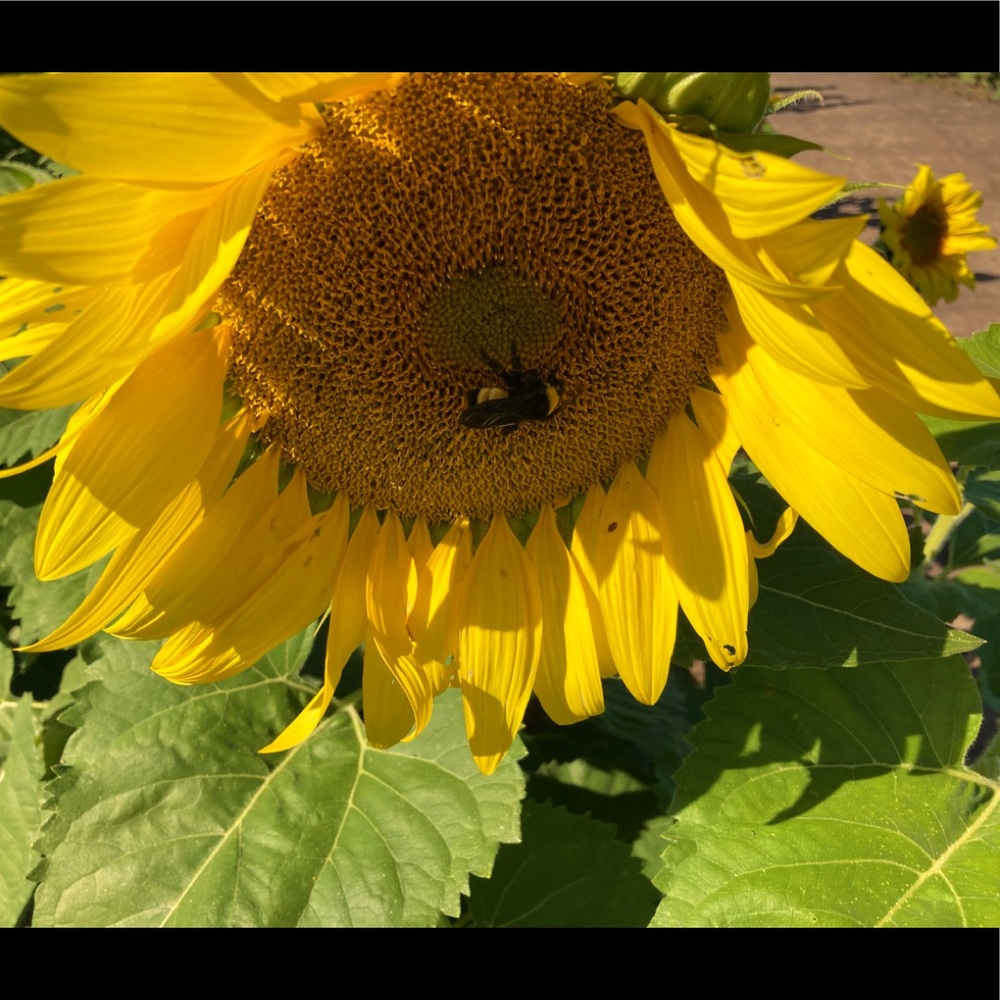 Meet your Posher, Christy